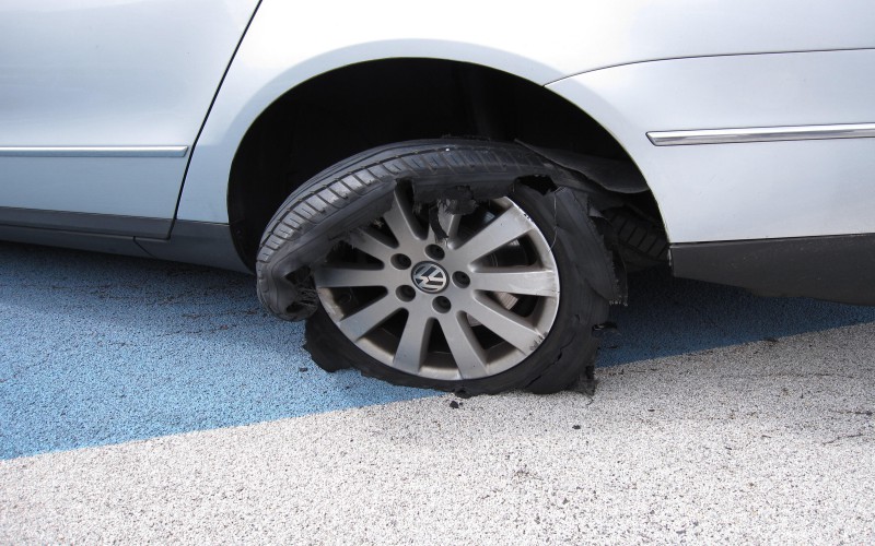 127399128435516122297_IMG_8455