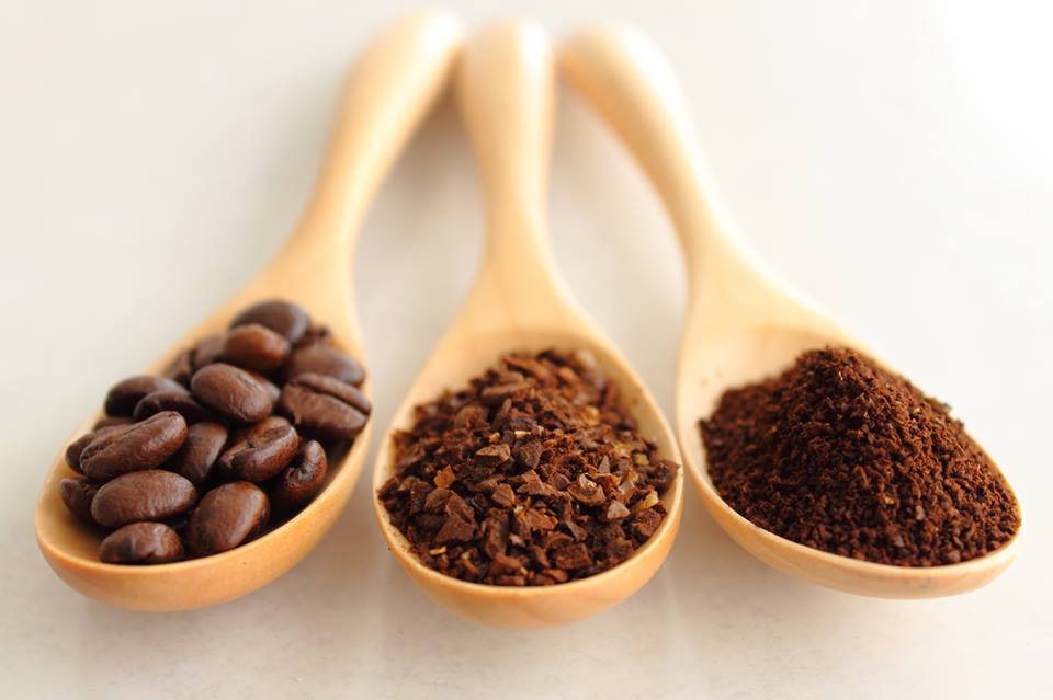 11164128_464196350423441_182656978_n