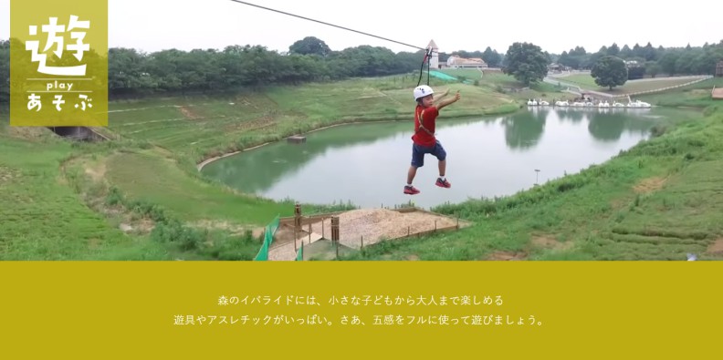 こもれび森のイバライト