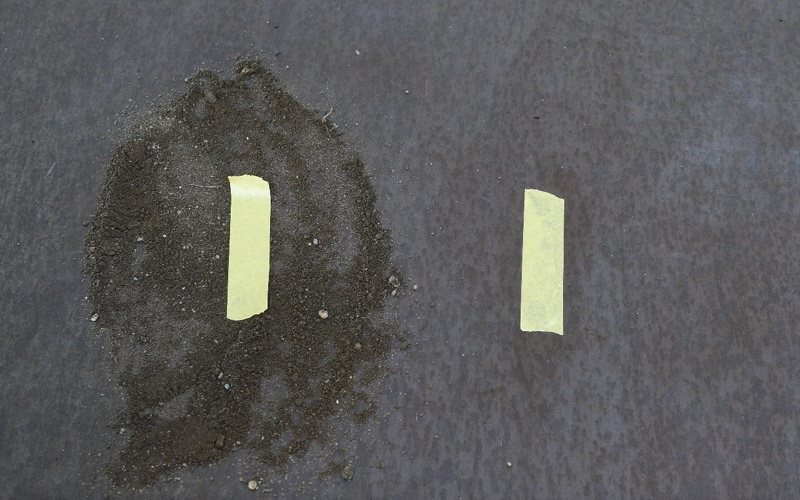 キイロビンゴールド1