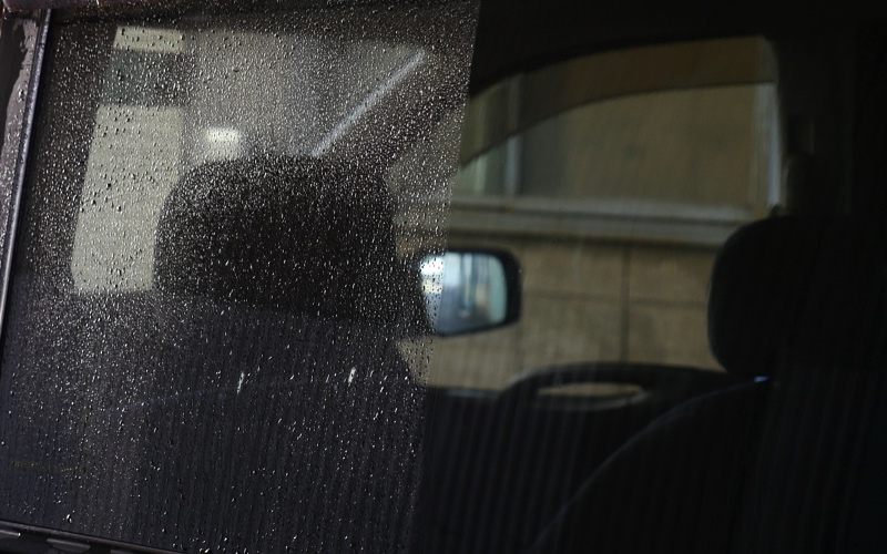 キイロビンゴールド14