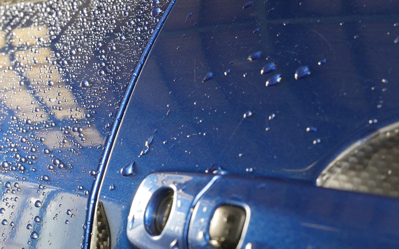 surluster_masterworks_19