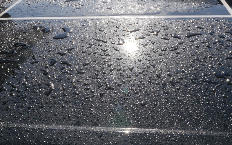 car_coating_after_1day_12