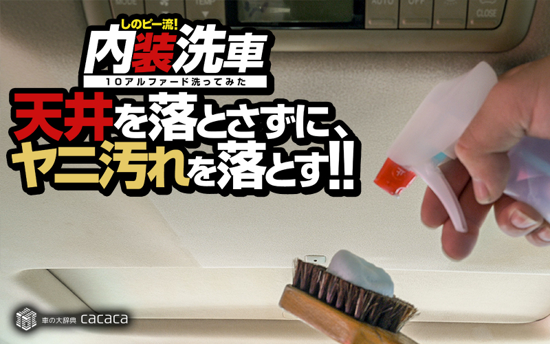 clean_car_ceiling_thumbnail