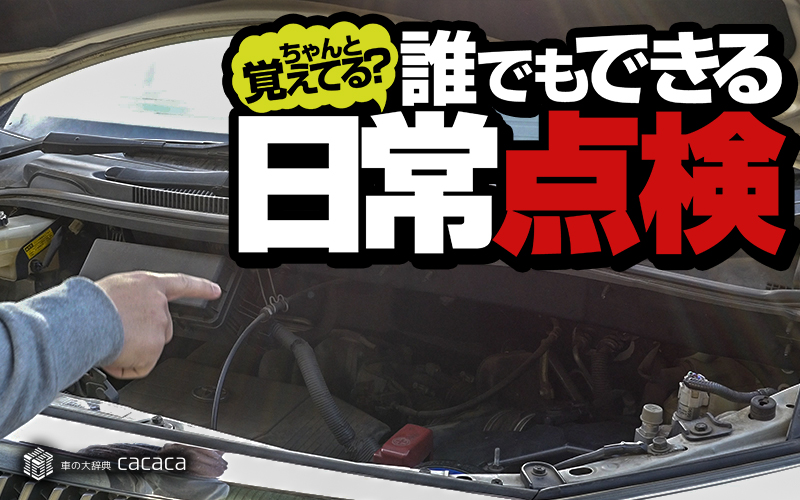 daily-check_thumbnail