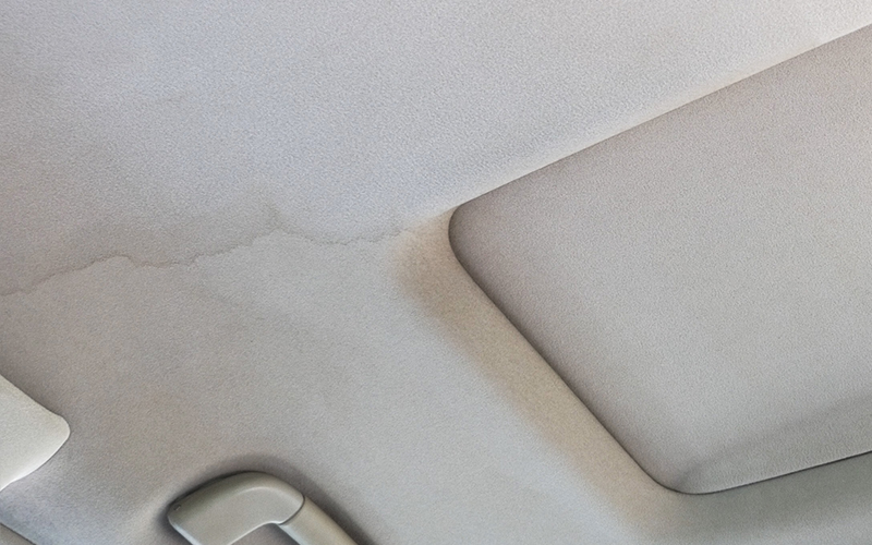 ceiling_carpet_rinser_12_