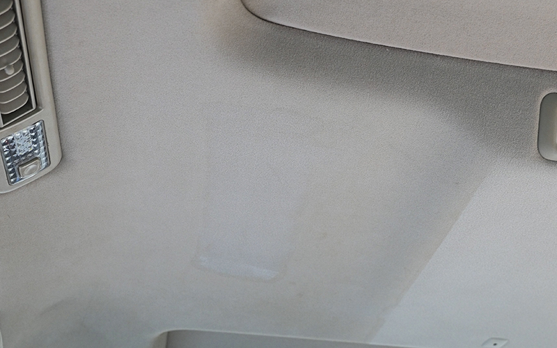 ceiling_carpet_rinser_8