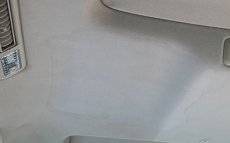 ceiling_carpet_rinser_9