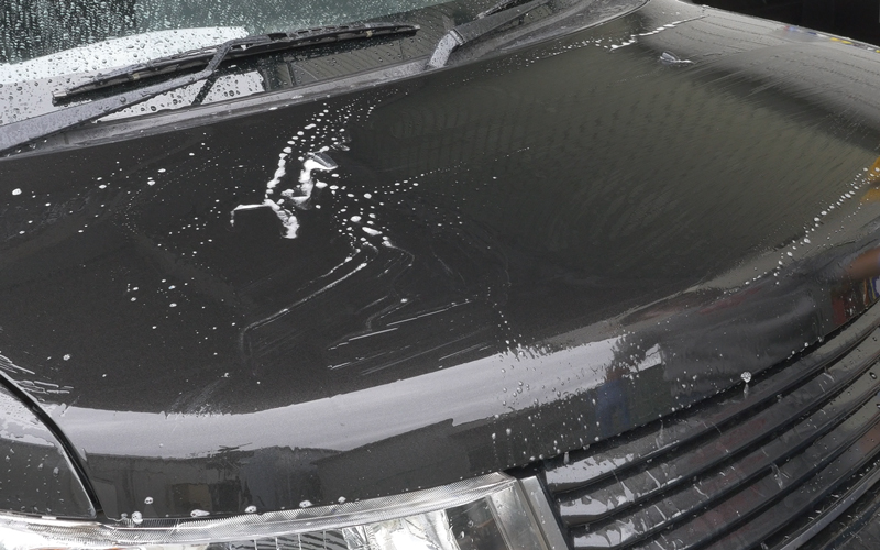 Water-repellent-shampoo_8