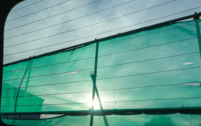 musuietano-rutoseiseisui_13