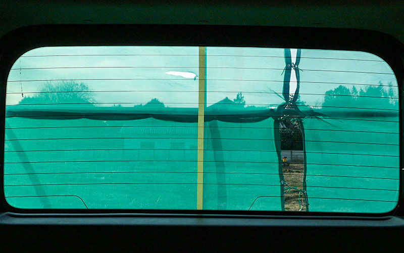 musuietano-rutoseiseisui_9