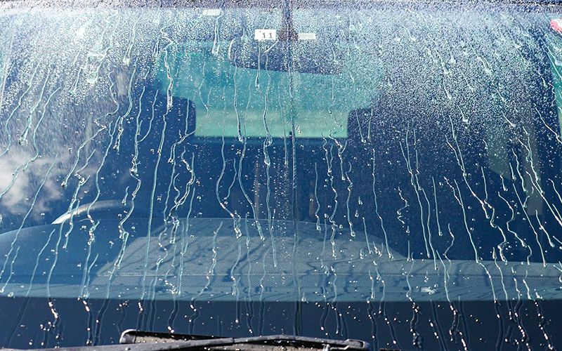 purosutaffu_365hassuizai_11