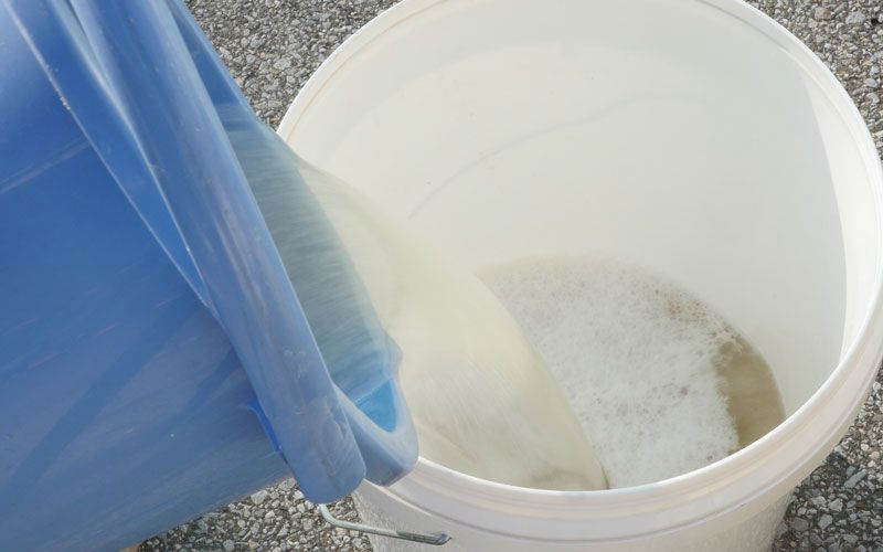 seat-belt_cleaning_13