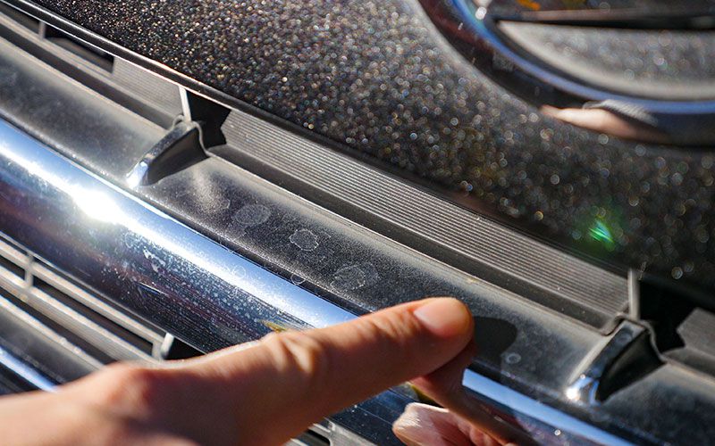 sirukumekkimizusimi_6