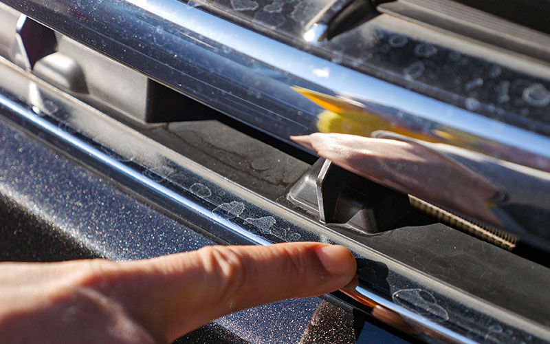 sirukumekkimizusimi_8