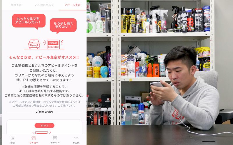 gulliver-auto_1_0023_gulliver-auto_33